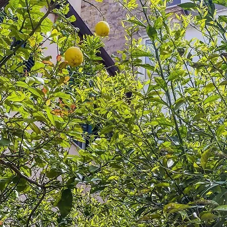 Casa Con Giardino Al Centro Al Cancello